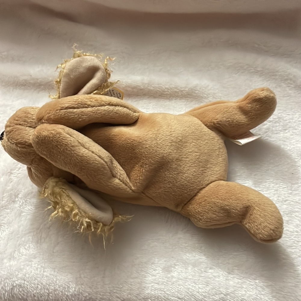 Ty Beanie Babies Dog Bundle - Picture 4 of 10